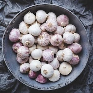 RootBloom Desi Single Clove Garlic Ek Pothi Lahsun Garlic Bulb