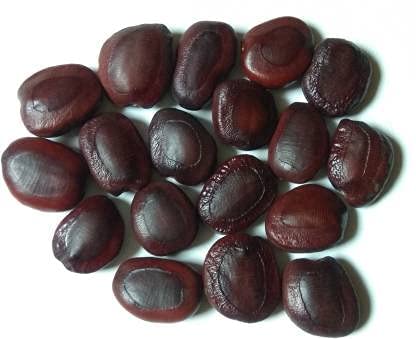 RootBloom Tamarind Seeds Imli Beej Imli Seeds