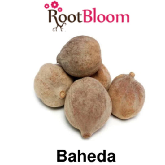 RootBloom®™ Bahera (बहेड़ा) Bibhitaki Terminalia Bellirica Belliric Myrobalan