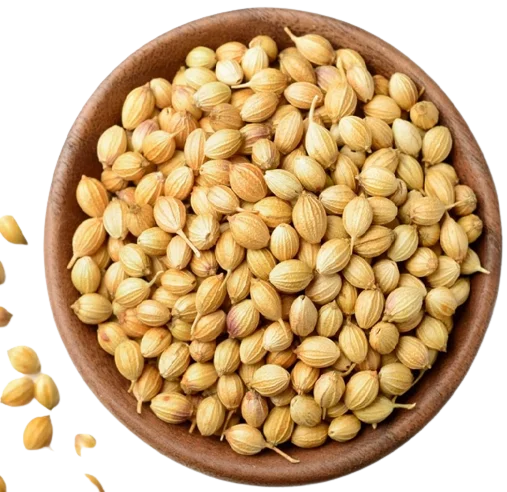 Whole Coriander Seeds Sabut Dhania